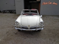 1965 NSU Spyder for sale in Illinois (ID-51922)