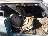 1965 AMC Marlin for sale in Michigan (ID-112227)