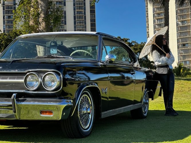 1965 AMC Marlin for sale in Michigan (ID-123801) 1965 AMC Marlin for sale in Michigan (ID-123801)