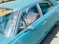 1965 AMC Rambler for sale in Michigan (ID-122006)