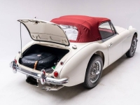 1965 Austin-Healey 3000 MKIII for sale in Michigan (ID-154913)