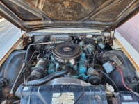 1965 Buick Electra 225 for sale in Michigan (ID-116238)