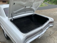 1965 Buick Skylark for sale in Michigan (ID-100407)