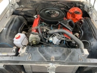 1965 Buick Skylark for sale in Michigan (ID-100407)