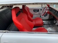 1965 Buick Skylark for sale in Michigan (ID-100407)