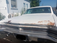 1965 Buick Skylark for sale in Michigan (ID-133655)