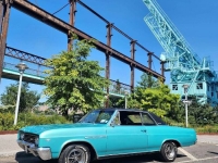 1965 Buick Skylark for sale in Michigan (ID-134438)