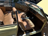 1965 Buick Skylark for sale in Michigan (ID-161160)