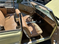 1965 Buick Skylark for sale in Michigan (ID-161160)