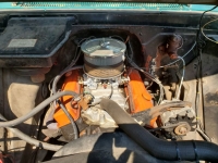 1965 Chevrolet C10 for sale (ID-118578)