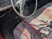 1965 Chevrolet C10 for sale in Michigan (ID-139736)