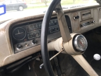 1965 Chevrolet C10 for sale (ID-135744)