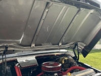 1965 Chevrolet C10 for sale in Michigan (ID-161024)