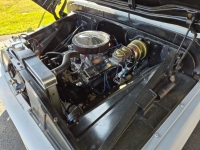 1965 Chevrolet C10 for sale (ID-164386)