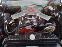 1965 Chevrolet Chevelle for sale in Addison, Illinois (ID-113047)