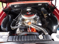 1965 Chevrolet Chevelle for sale in Michigan (ID-116070)