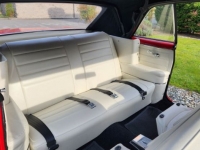1965 Chevrolet Chevelle for sale in Michigan (ID-116160)