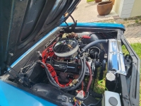 1965 Chevrolet Chevelle for sale in Michigan (ID-120846)