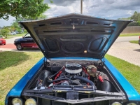 1965 Chevrolet Chevelle for sale in Michigan (ID-120846)