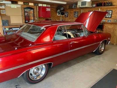 1965 Chevrolet Chevelle for sale