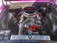 1965 Chevrolet Chevelle for sale in Michigan (ID-127214)