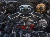 1965 Chevrolet Chevelle for sale in Riverhead, New York (ID-128513)