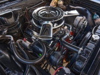 1965 Chevrolet Chevelle for sale in Riverhead, New York (ID-128513)