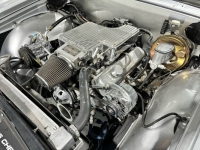 1965 Chevrolet Chevelle for sale in Michigan (ID-132434)