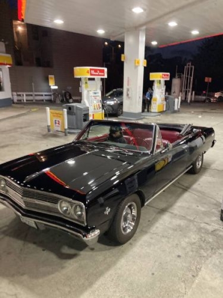 1965 Chevrolet Chevelle for sale in Michigan (ID-143210)
