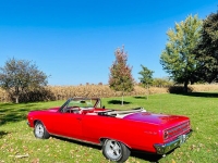 1965 Chevrolet Chevelle for sale (ID-145722)