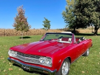 1965 Chevrolet Chevelle for sale (ID-145722)
