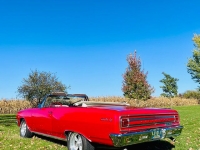 1965 Chevrolet Chevelle for sale (ID-145722)