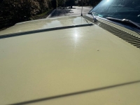 1965 Chevrolet Chevelle for sale in Michigan (ID-146676)