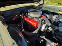 1965 Chevrolet Chevelle for sale in Michigan (ID-146676)