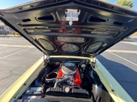 1965 Chevrolet Chevelle for sale in Michigan (ID-146676)