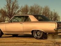 1965 Chevrolet Chevelle for sale in Riverhead, New York (ID-155121)