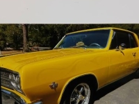 1965 Chevrolet Chevelle for sale in Michigan (ID-155815)