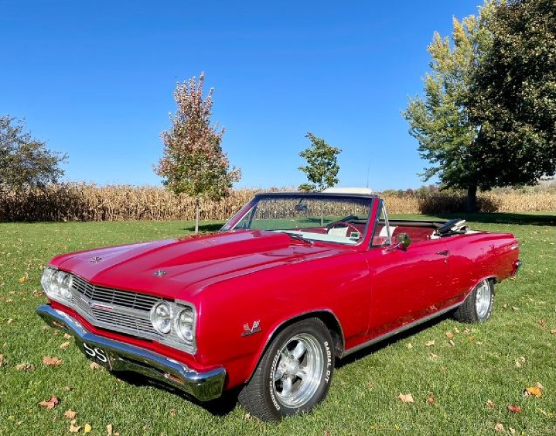 1965 Chevrolet Chevelle for sale in Michigan (ID-164594)