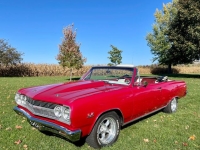 1965 Chevrolet Chevelle for sale in Michigan (ID-164594)