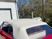 1965 Chevrolet Chevelle for sale in Michigan (ID-164594)