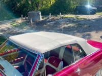 1965 Chevrolet Chevelle for sale in Michigan (ID-164594)