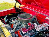 1965 Chevrolet Chevelle for sale in Michigan (ID-164594)