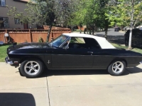 1965 Chevrolet Corvair for sale in Michigan (ID-164609)