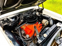 1965 Chevrolet El Camino for sale (ID-109207)
