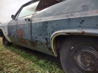 1965 Chevrolet Impala for sale in Michigan (ID-123076)