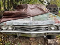 1965 Chevrolet Impala for sale in Michigan (ID-134531)