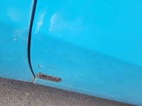 1965 Chevrolet Impala SS for sale in Michigan (ID-144407)