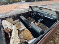 1965 Chevrolet Malibu for sale in Michigan (ID-161022)