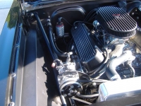 1965 Chevrolet Nova for sale in Michigan (ID-118517)