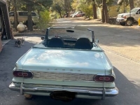 1965 Dodge Dart for sale in Michigan (ID-135545)